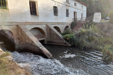 Molinoprensa3-25