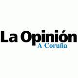 opinion